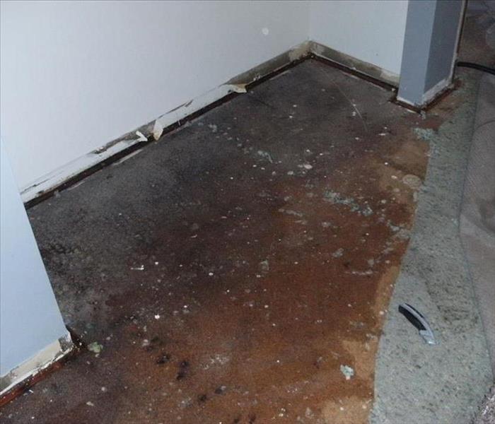 Water damage shown on the sub-floor after carpet has been pulled back and baseboards removed. 